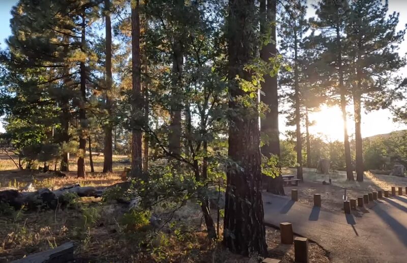 Laguna Campground in Cleveland National Forest