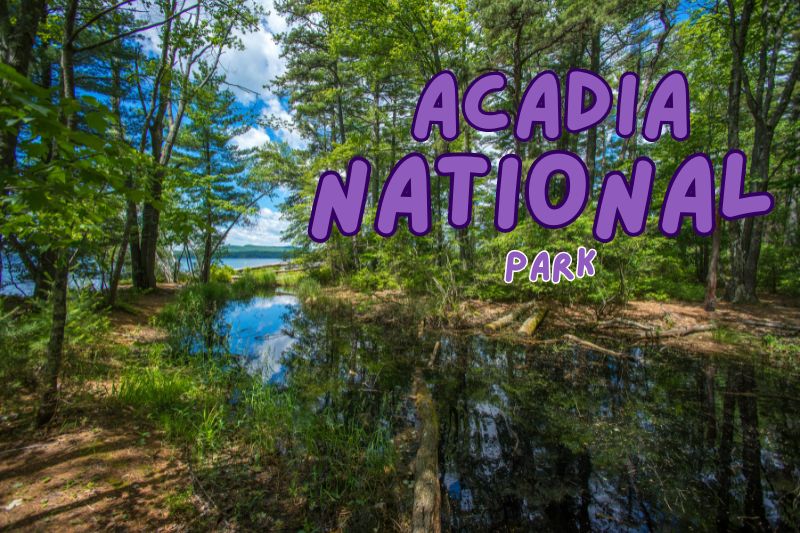 Acadia National Park, Blackwoods Campground