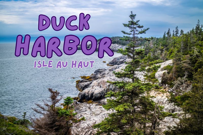 Duck Harbor Campground, Isle Au Haut