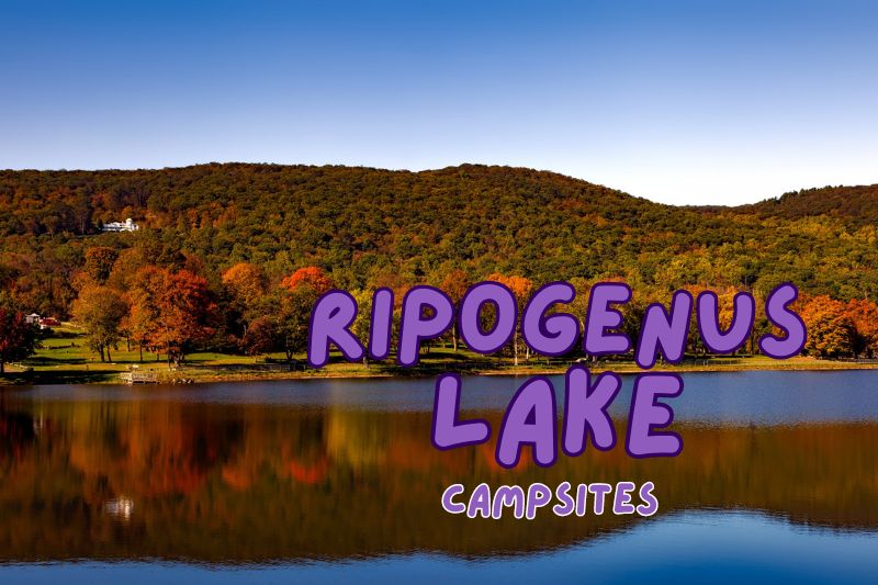 Ripogenus Lake Campsites
