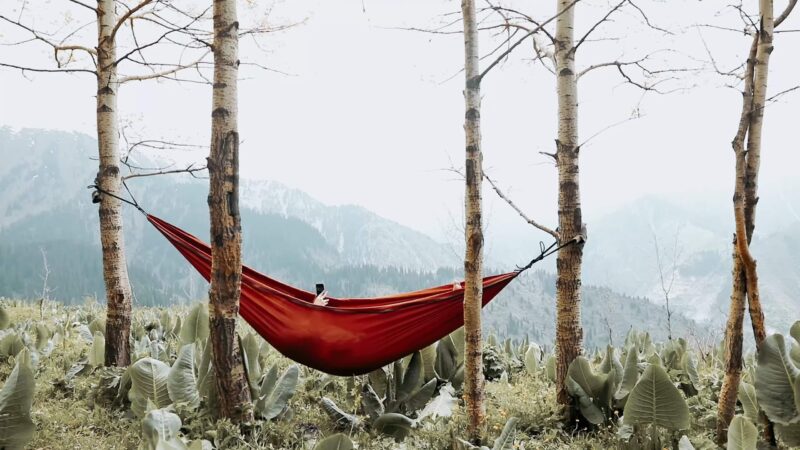 Choose Perfect Location for Hammock