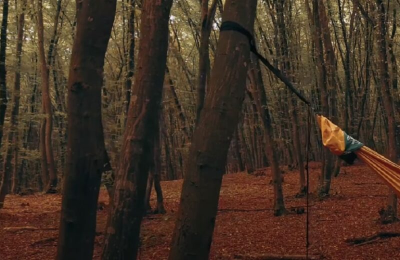 Height and Tension of Hammock