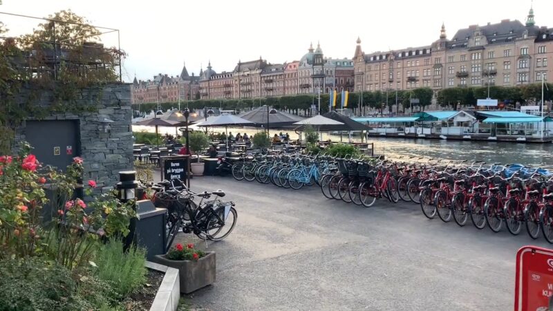 Relax in Djurgården - Stockholm Visiting Tour