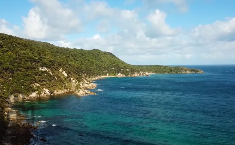 Stewart Island vacation