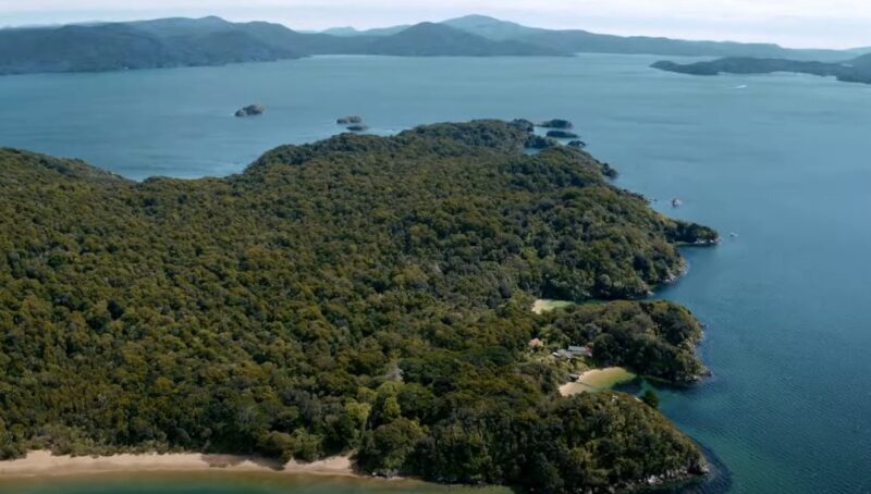 Things to do at Stewart Island